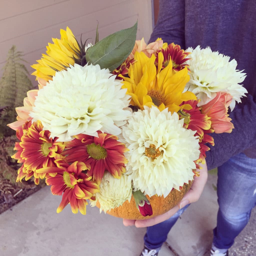 Bouquet of flowers in small pumpkin