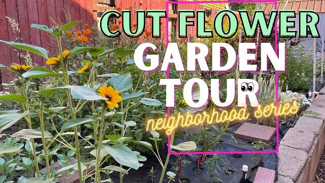 Screenshot of video thumbnail with text: Cut flower garden tour, neighborhood series