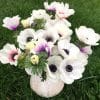 Assorted colors of anemone flowers in white vase, grown by Bloom Sacramento