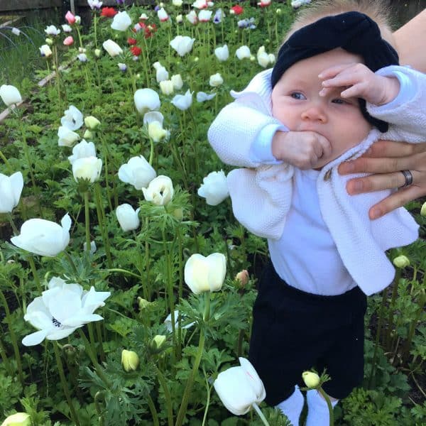 Baby is held next to patch of white anemones being grown by Bloom Sacramento