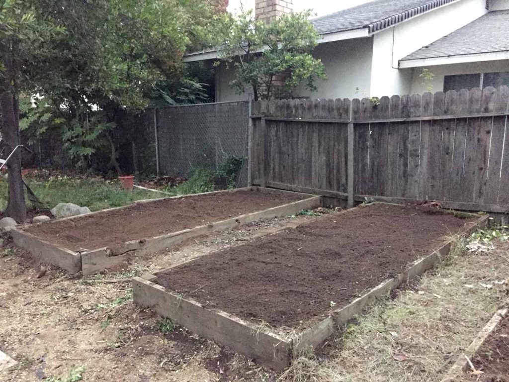 Garden bed clear and ready for planting