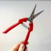 Red clippers sold by Bloom Sacramento