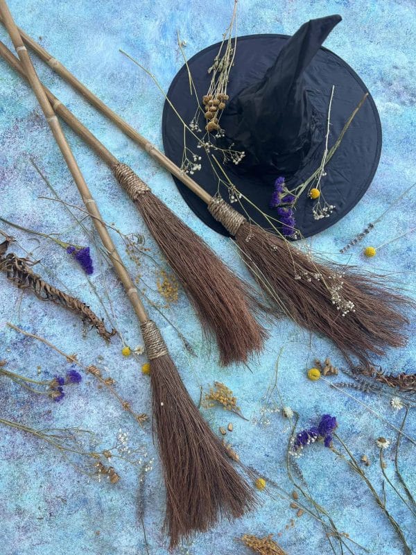 Flat lay displays dried flowers, witch's brooms, witch's hat