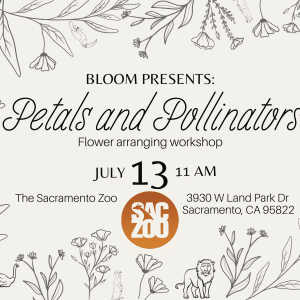 July 13 Sacramento Zoo Workshop – Petals and Pollinators