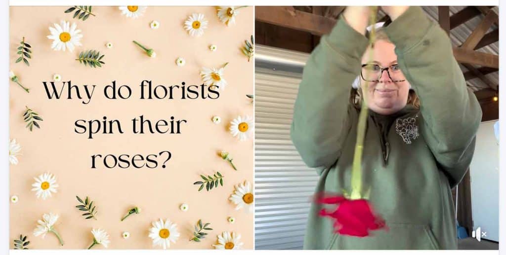 Screenshot of image that reads "Why do florists spin their roses" alongside a photo of Amanda holding a rose stem and spinning the flower.