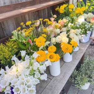 Oct. 5 Backyard Workshop and Farm Tour