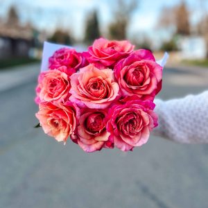 Valentine’s Day Garden Roses