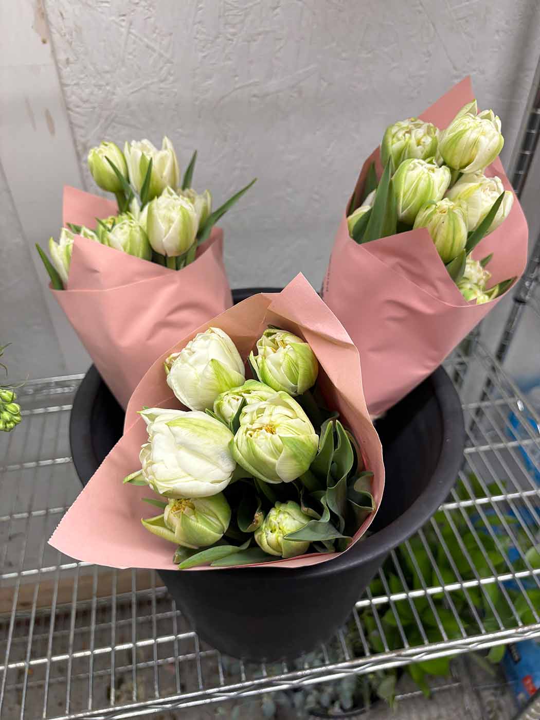 White "double tulips" wrapped in pink paper in a bucket