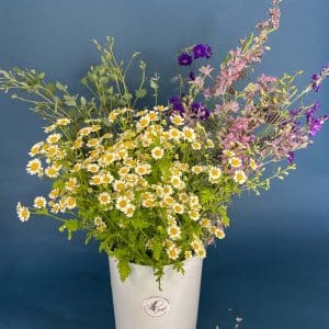 Business Subscription: DIY Bucket for Bud Vases