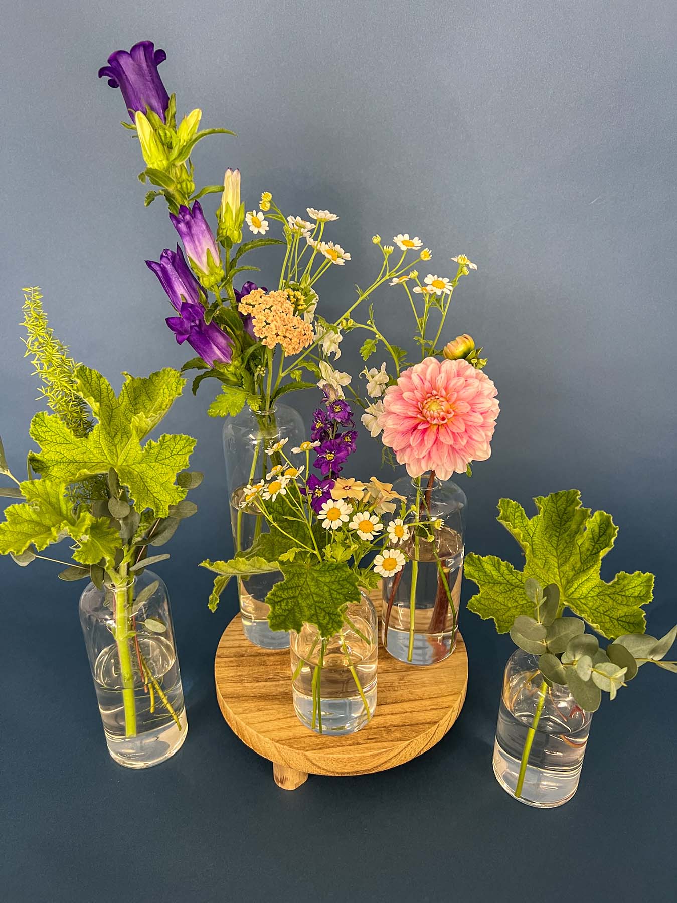 Bud vases of flowers grown by Bloom Sacramento photographed against a blue background